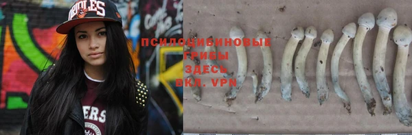 соль ск Абдулино