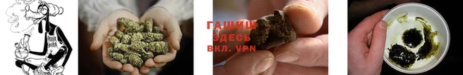 spice Абаза