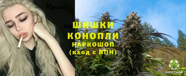 spice Абаза