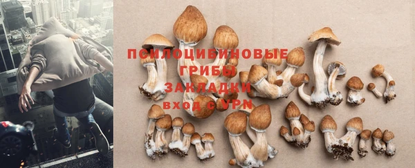 соль ск Абдулино