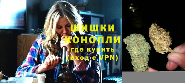 spice Абаза