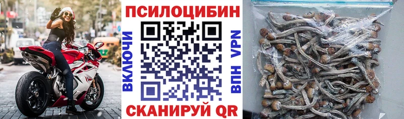 где продают   Дербент  Галлюциногенные грибы ЛСД 